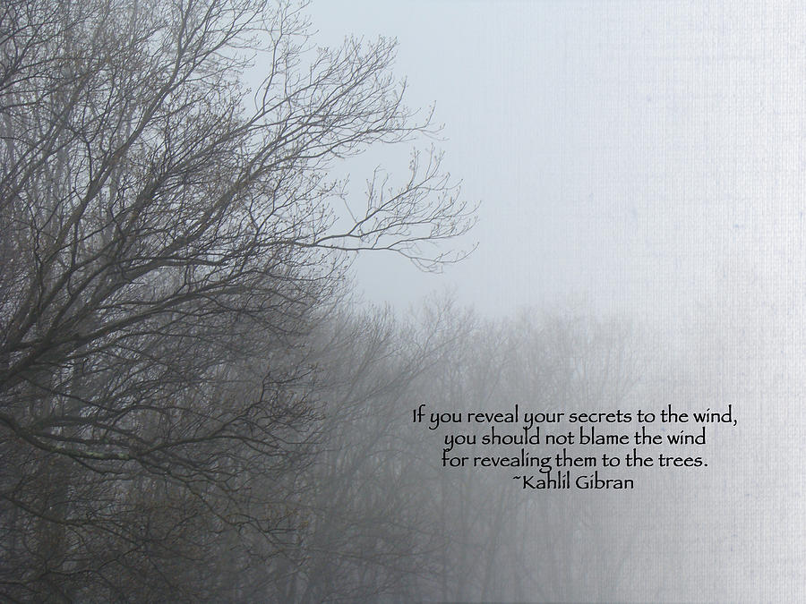 Стихи про туман. Про туман высказывания. Красивые фразы про туман. Туманные фразы. Туман красивые высказывания.