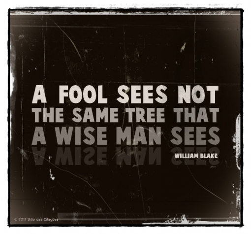 Fool quote #7