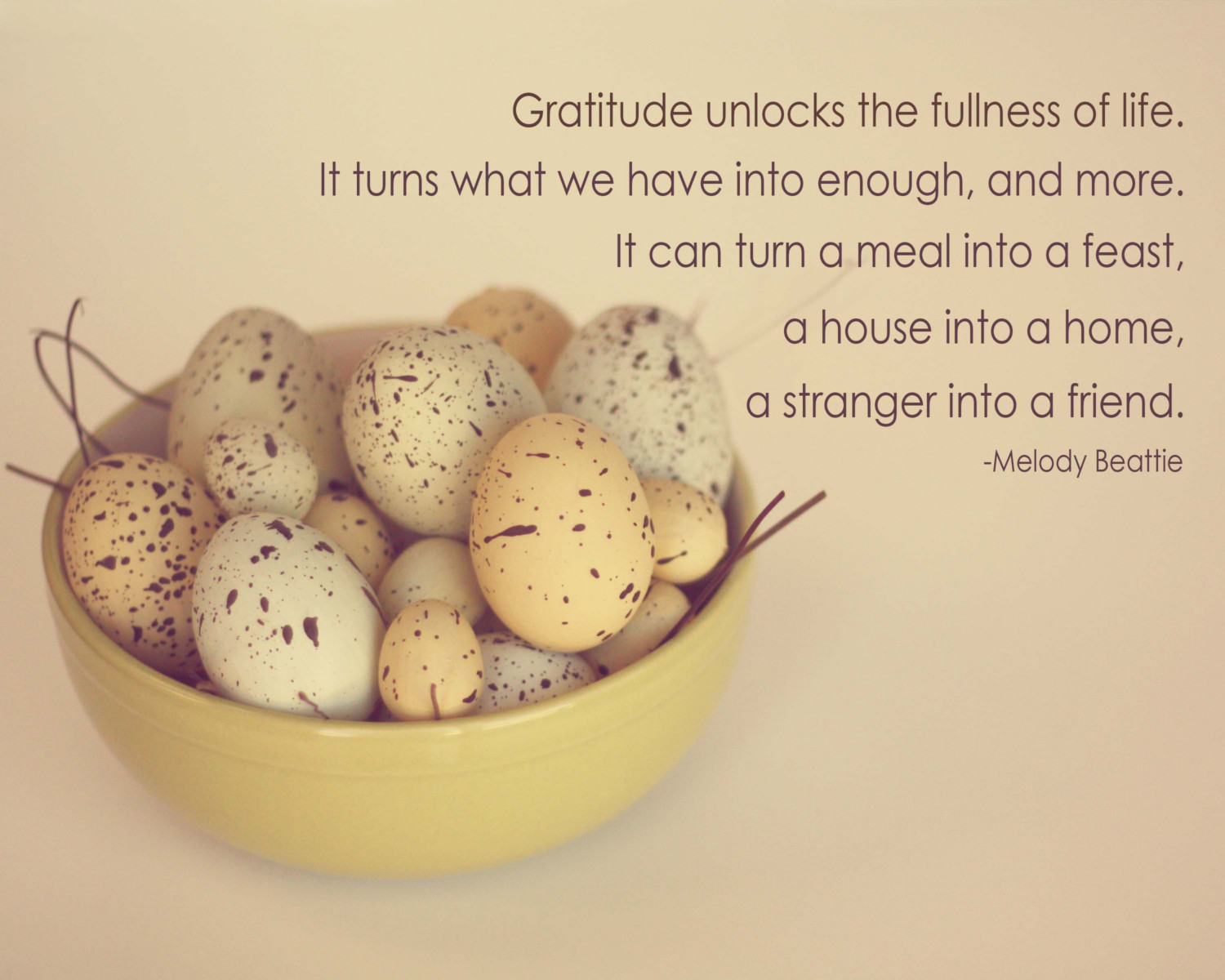 Gratitude quote #4