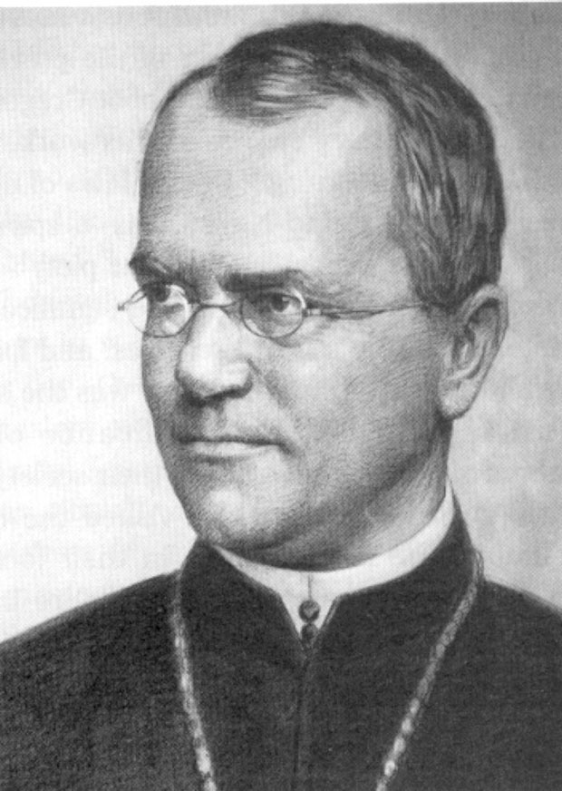 Gregor Mendel Biography, Gregor Mendel's Famous Quotes 