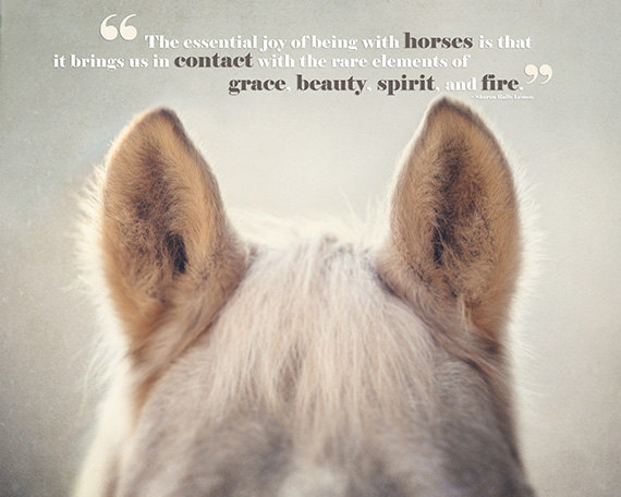 Horse quote #8