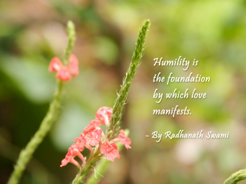 Humility quote #8