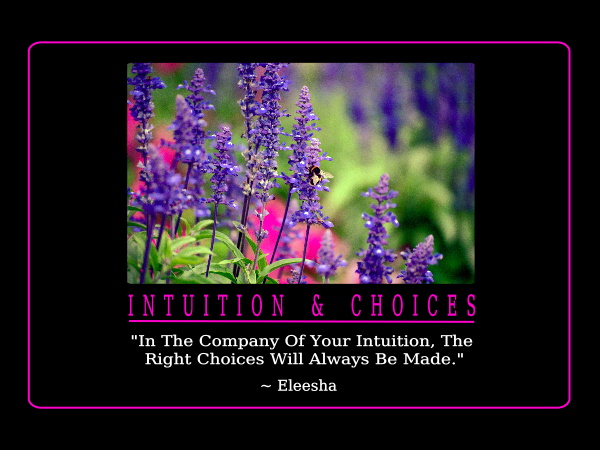 Intuition quote #8