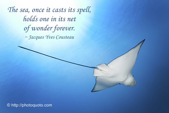 Jacques Yves Cousteau's quote #2
