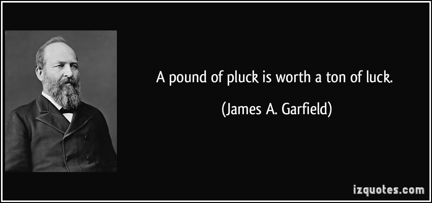 James A. Garfield's quote #2