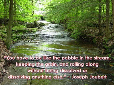 Joseph Joubert's quote #4