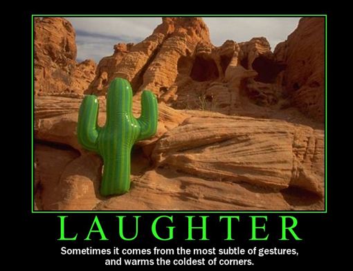 Laughter quote #3