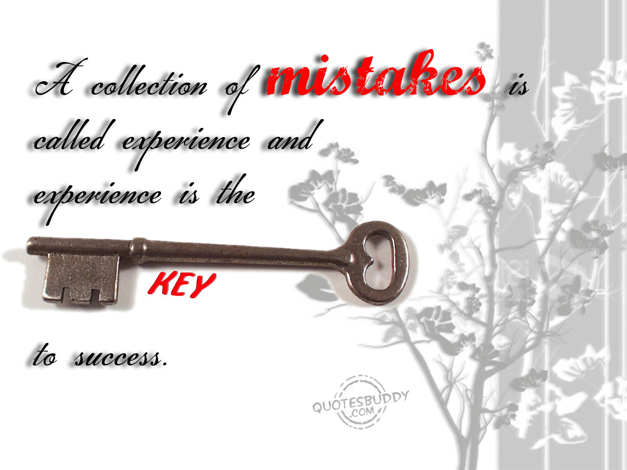Mistake quote #4
