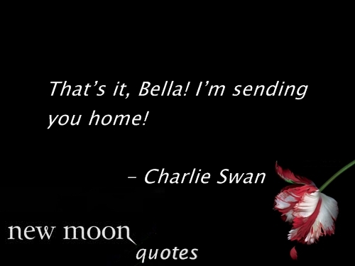 Moon quote #4