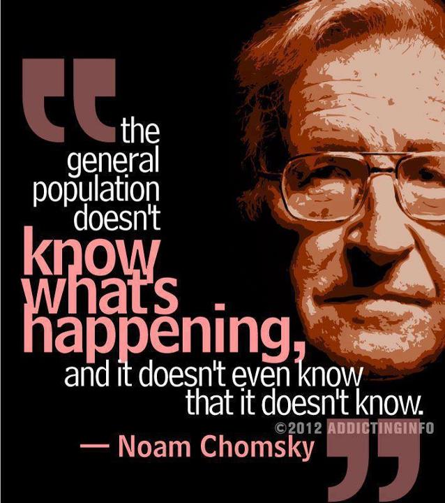 Noam Chomsky's quote #3