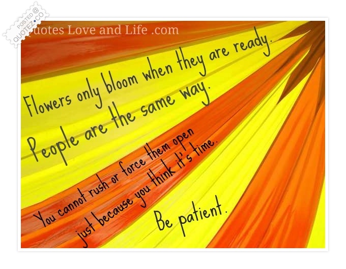 Patient quote #5
