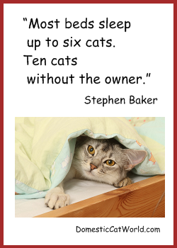 Stephen Baker's quote #6
