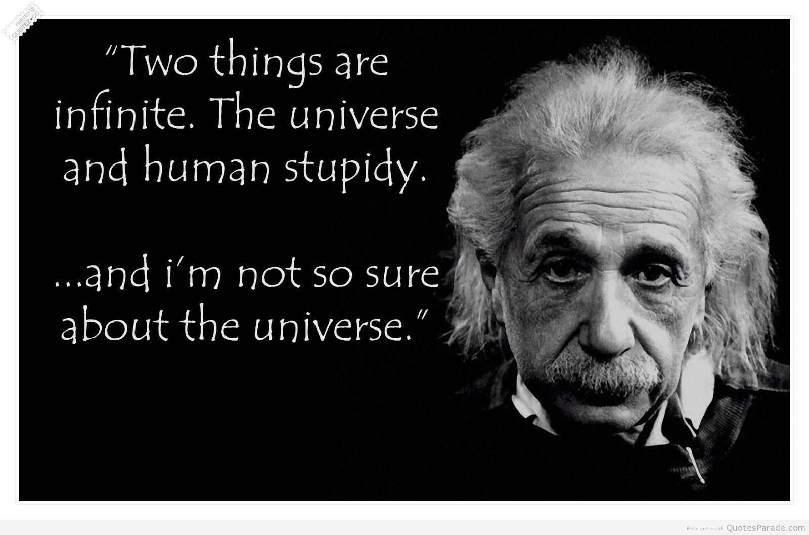Stupidity quote #2