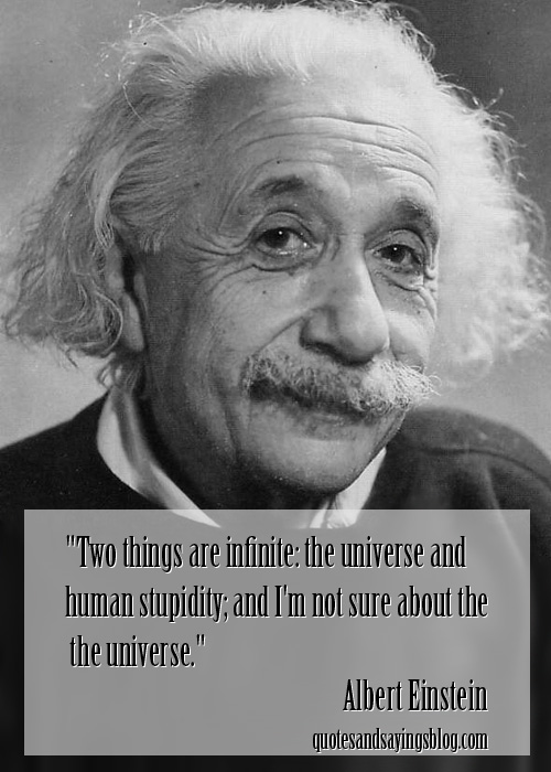 Stupidity quote #8