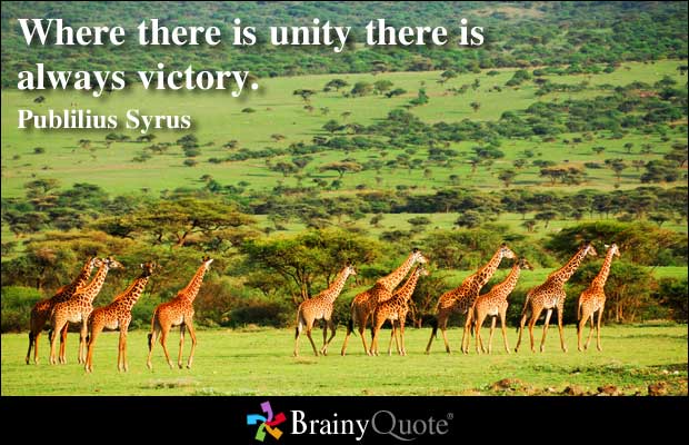 Unity quote #5