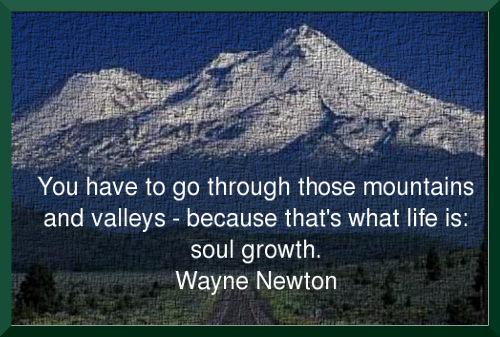 Wayne Newton's quote #4