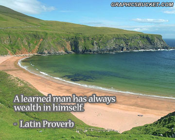 Wealth quote #2