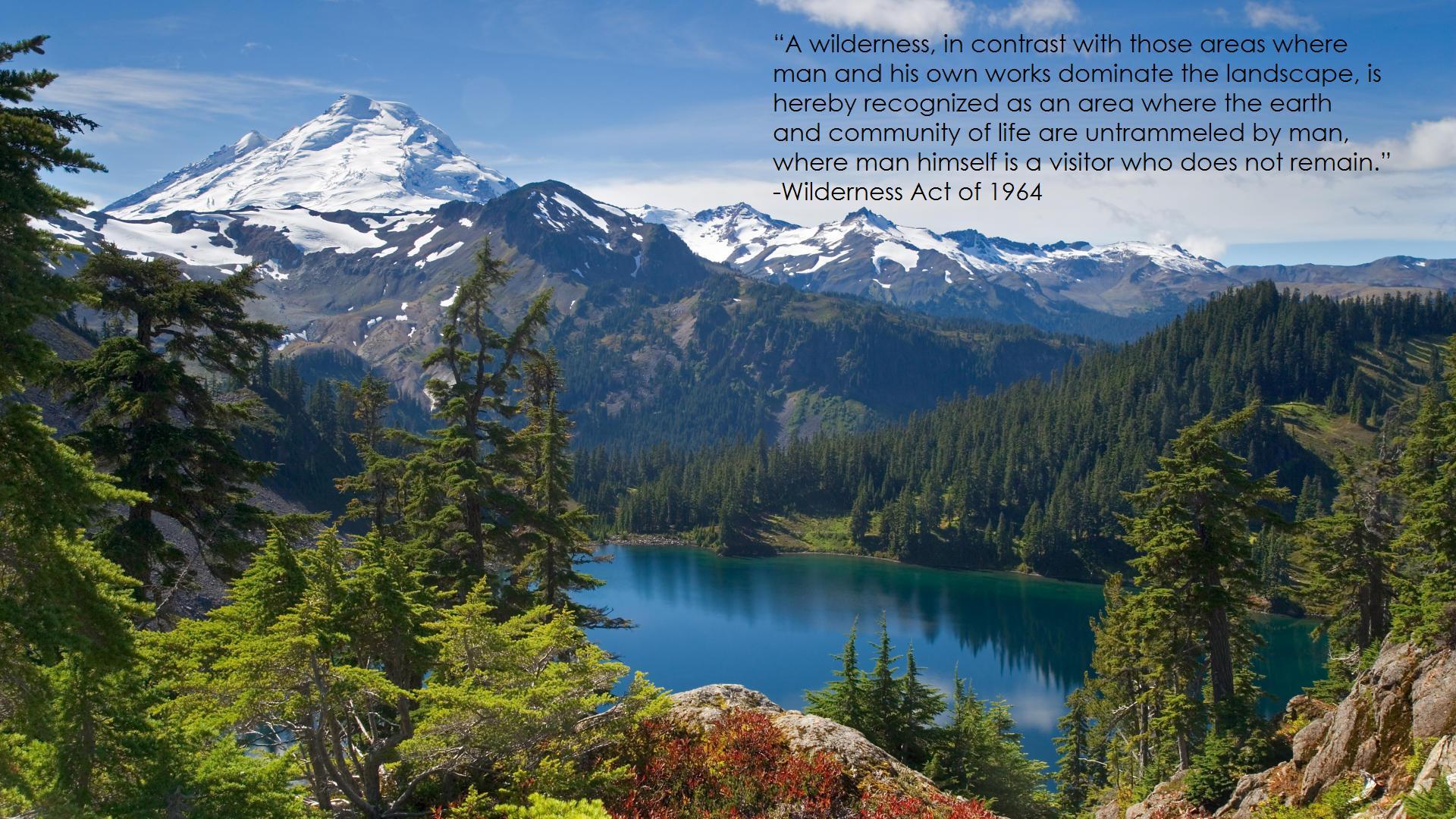 Famous Quotes About Wilderness Sualci Quotes 2019 famous-quotes-about-wilderness-sualci-quotes-2019