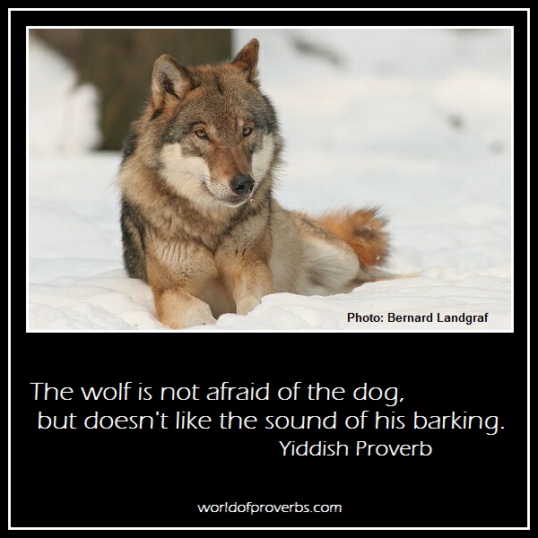 Wolf quote #7