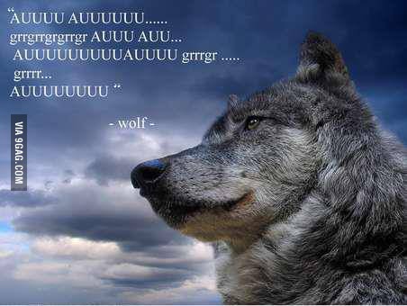 Wolf quote #1