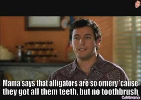 Adam Sandler quote #2