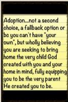 Adopt quote #5