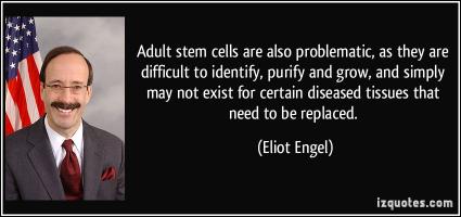 Adult Stem Cells quote #2