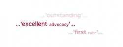 Advocacy quote #2