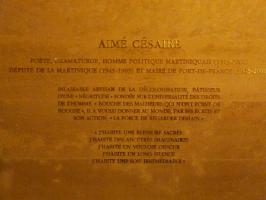 Aime Cesaire's quote #2