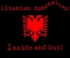Albanians quote #2