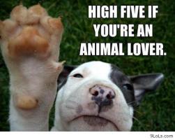 Animal Lover quote #2