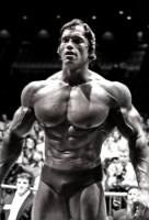 Arnold quote #2