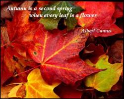 Autumn quote #5