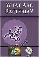 Bacteria quote #2