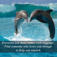 Baggage quote #3
