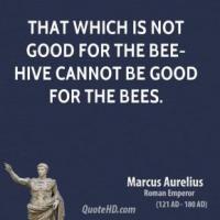 Bees quote #2
