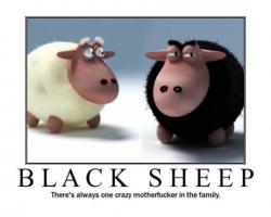 Black Sheep quote #2