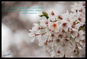 Blossom quote #1