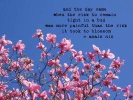 Blossom quote #1