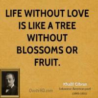 Blossoms quote #1