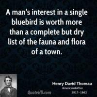 Bluebird quote #1