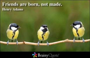 Born To Be quote #2