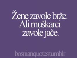 Bosnian quote #2