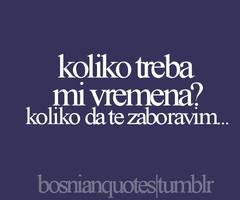 Bosnian quote #2