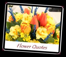 Bouquet quote #2