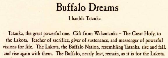 Buffalo quote #2