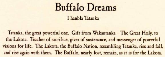 Buffalo quote #2