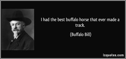 Buffalo quote #2