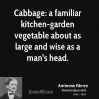 Cabbage quote #1