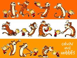 Calvin And Hobbes quote #2
